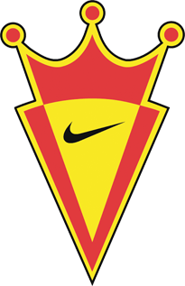 Fifa 2009 Project